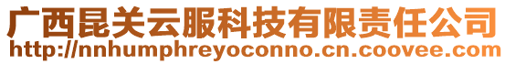 廣西昆關(guān)云服科技有限責(zé)任公司