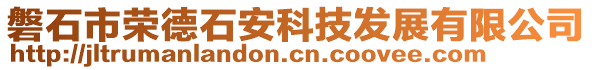 磐石市荣德石安科技发展有限公司