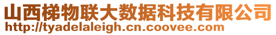 山西梯物聯(lián)大數(shù)據(jù)科技有限公司