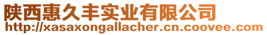 陜西惠久豐實業(yè)有限公司