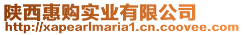 陜西惠購(gòu)實(shí)業(yè)有限公司