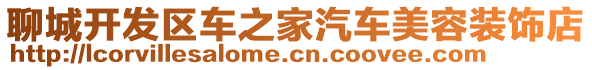 聊城開發(fā)區(qū)車之家汽車美容裝飾店