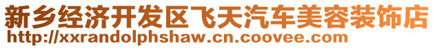 新鄉(xiāng)經(jīng)濟(jì)開發(fā)區(qū)飛天汽車美容裝飾店