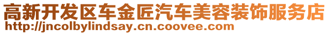 高新開(kāi)發(fā)區(qū)車(chē)金匠汽車(chē)美容裝飾服務(wù)店