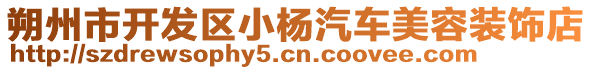 朔州市開發(fā)區(qū)小楊汽車美容裝飾店