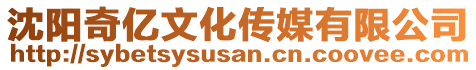 沈陽奇億文化傳媒有限公司