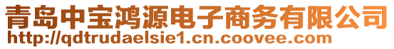 青島中寶鴻源電子商務(wù)有限公司