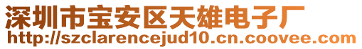 深圳市寶安區(qū)天雄電子廠