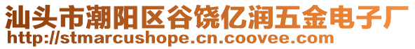 汕頭市潮陽區(qū)谷饒億潤五金電子廠