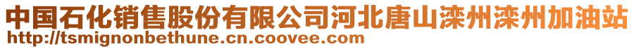 中國(guó)石化銷售股份有限公司河北唐山灤州灤州加油站