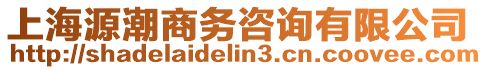 上海源潮商務咨詢有限公司