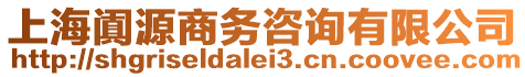 上海闐源商務咨詢有限公司
