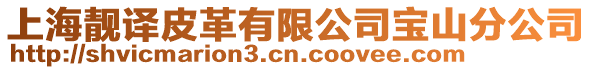 上海靚譯皮革有限公司寶山分公司