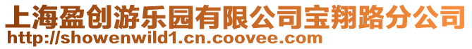 上海盈創(chuàng)游樂(lè)園有限公司寶翔路分公司