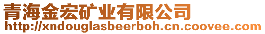 青海金宏礦業(yè)有限公司