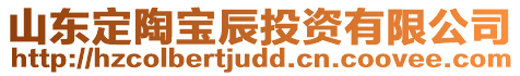 山東定陶寶辰投資有限公司