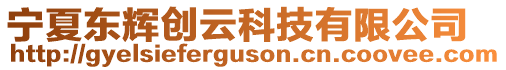 寧夏東輝創(chuàng)云科技有限公司