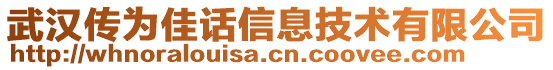 武漢傳為佳話信息技術有限公司