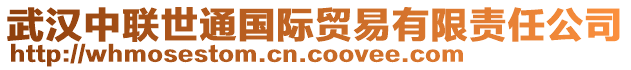 武漢中聯(lián)世通國際貿(mào)易有限責(zé)任公司