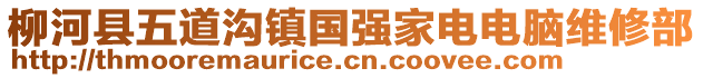 柳河縣五道溝鎮(zhèn)國(guó)強(qiáng)家電電腦維修部