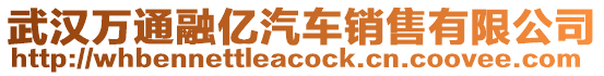 武漢萬(wàn)通融億汽車(chē)銷(xiāo)售有限公司