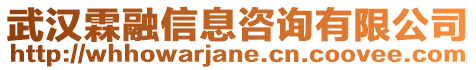 武漢霖融信息咨詢有限公司