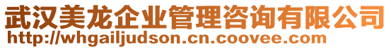 武漢美龍企業(yè)管理咨詢有限公司