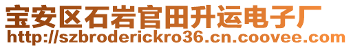 寶安區(qū)石巖官田升運(yùn)電子廠