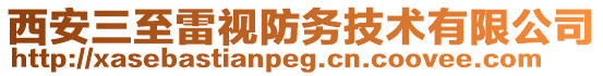 西安三至雷視防務技術有限公司