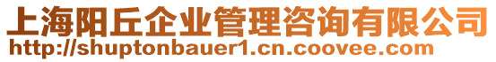 上海陽丘企業(yè)管理咨詢有限公司