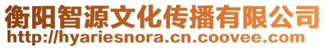 衡陽智源文化傳播有限公司