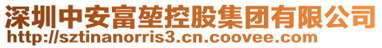 深圳中安富堃控股集團(tuán)有限公司