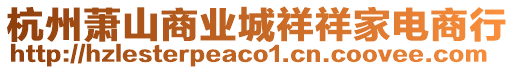 杭州蕭山商業(yè)城祥祥家電商行