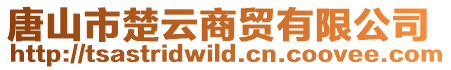 唐山市楚云商貿有限公司