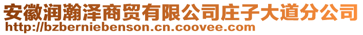 安徽潤瀚澤商貿(mào)有限公司莊子大道分公司