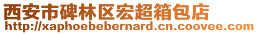 西安市碑林區(qū)宏超箱包店