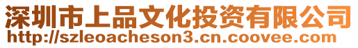 深圳市上品文化投資有限公司