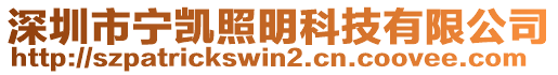 深圳市寧凱照明科技有限公司