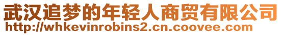 武漢追夢(mèng)的年輕人商貿(mào)有限公司