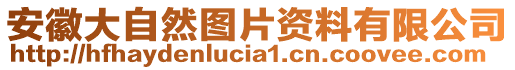 安徽大自然圖片資料有限公司