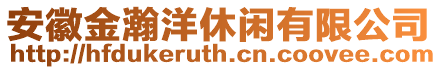 安徽金瀚洋休閑有限公司