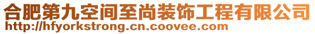 合肥第九空間至尚裝飾工程有限公司