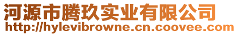 河源市騰玖實(shí)業(yè)有限公司