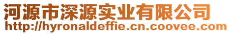 河源市深源實業(yè)有限公司