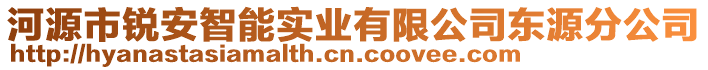 河源市銳安智能實業(yè)有限公司東源分公司