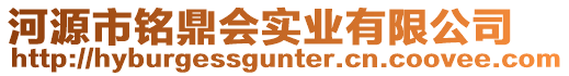 河源市銘鼎會實業有限公司