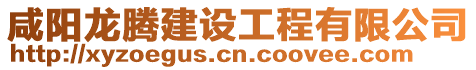 咸陽龍騰建設工程有限公司
