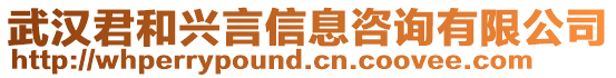 武漢君和興言信息咨詢有限公司