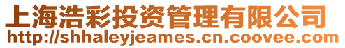 上海浩彩投資管理有限公司