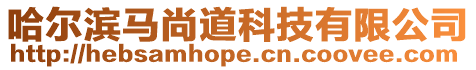 哈爾濱馬尚道科技有限公司